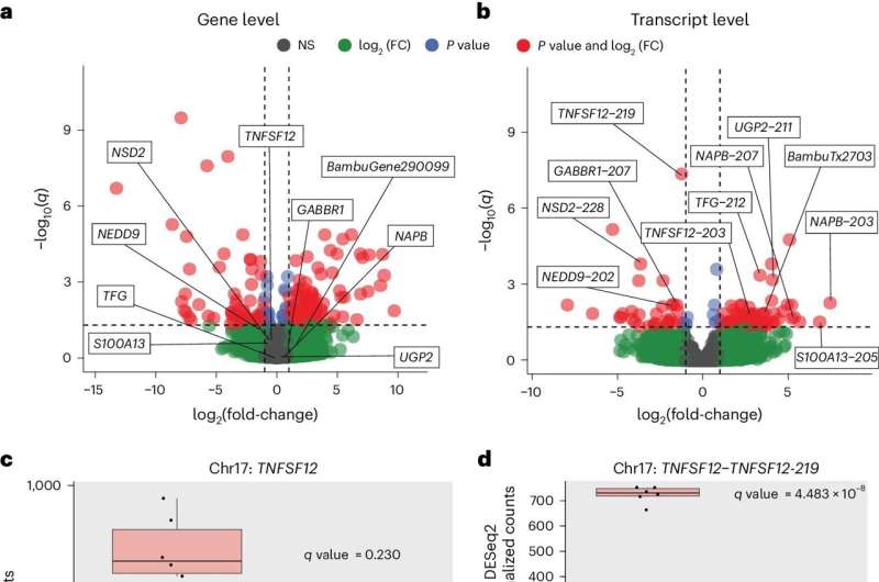 Long-read RNA sequencing reveals key gene expressions in Alzheimer's disease