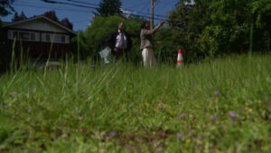 Bellevue homeowner fights to save beloved trees from stormwater project