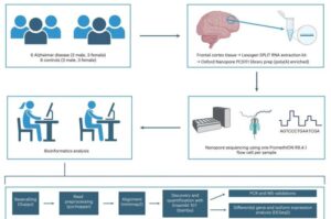 Long-read RNA sequencing reveals key gene expressions in Alzheimer's disease